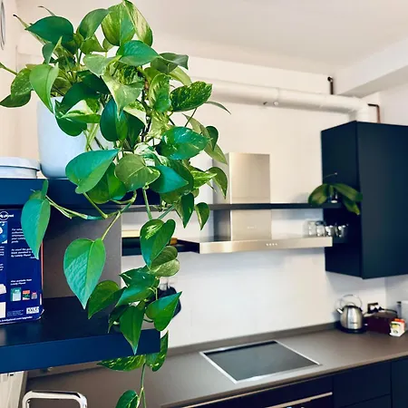 Appartement Wanderlust Splendido In Centro Pavie